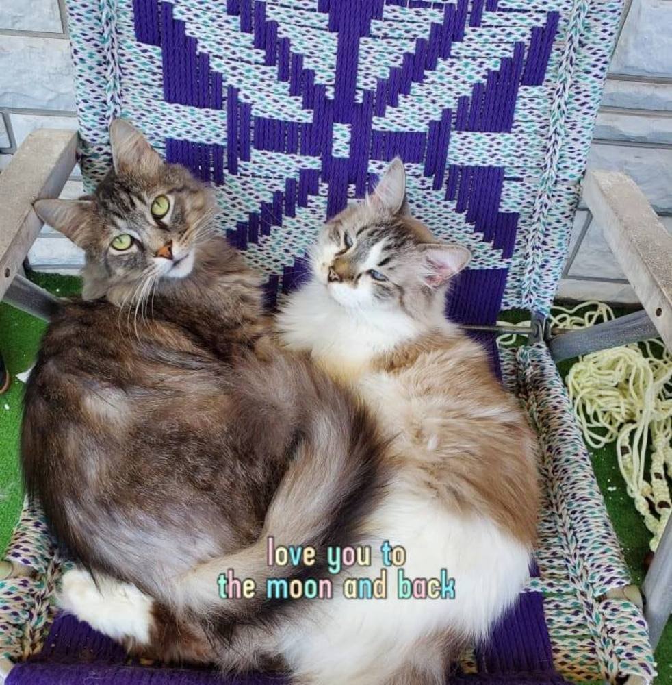 Meet your Posher, Danielle